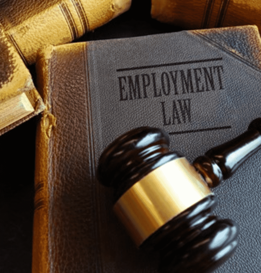 Labour Law,  Industrial Dispute , Merge and Acquisition , Employment Dispute Issues